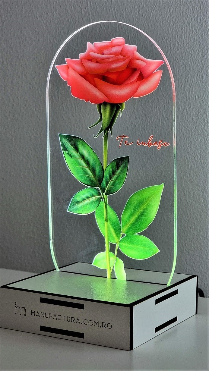 Lampa Cupola Trandafir "I Love You" DL90-20